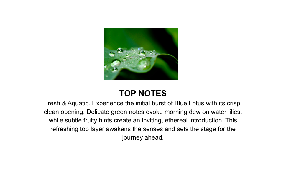 Image of a droplet with water droplets on a green leaf and text about top notes of a fragrance.