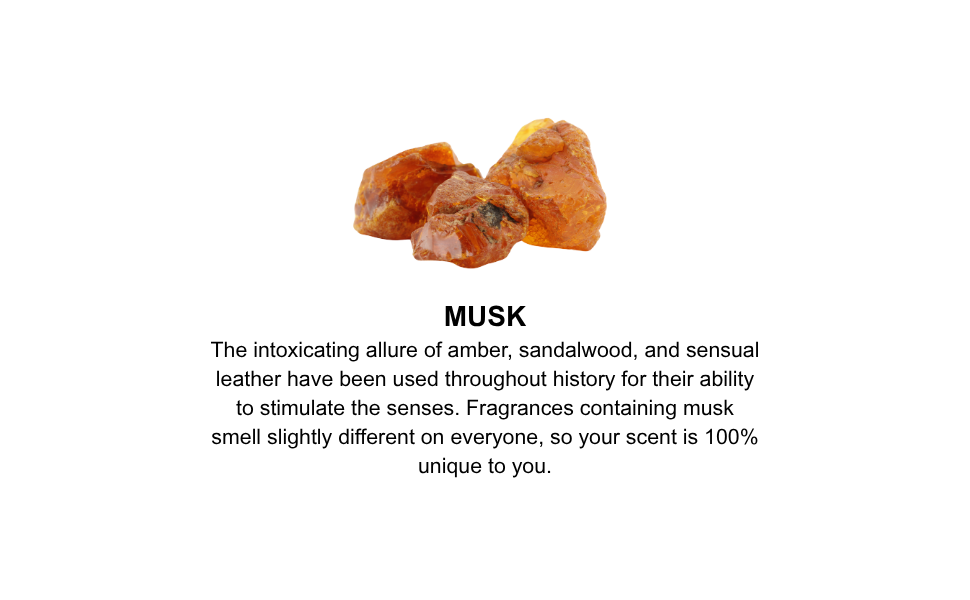 Three pieces of amber on a white background with text about musk.
