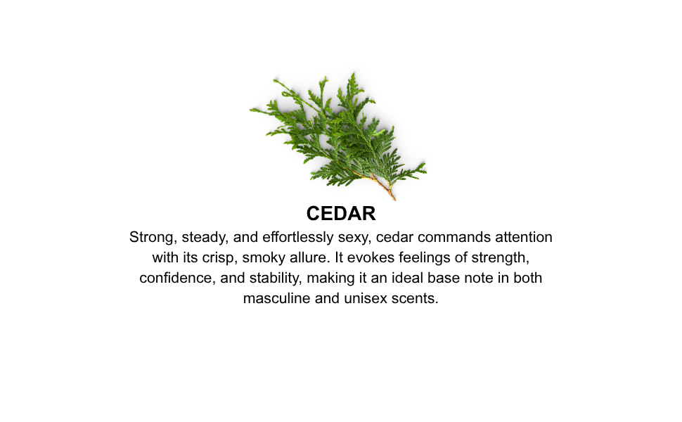 Image of cedar branches with descriptive text on a white background
